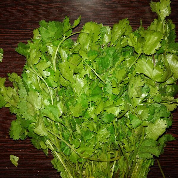 Fresh Farms Fresh Herbs Cilantro 2-Pack